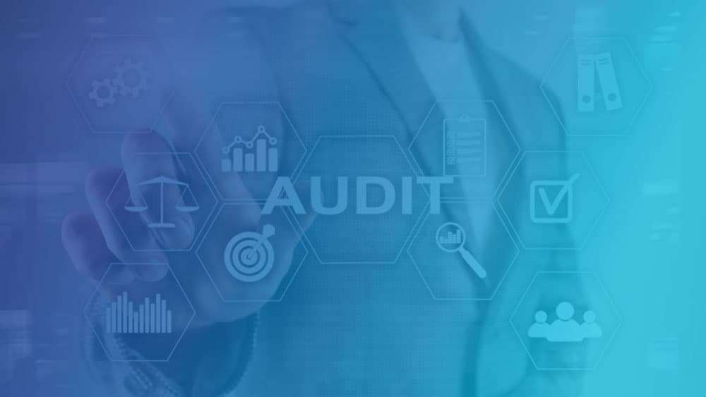 Training Ninja system audits
